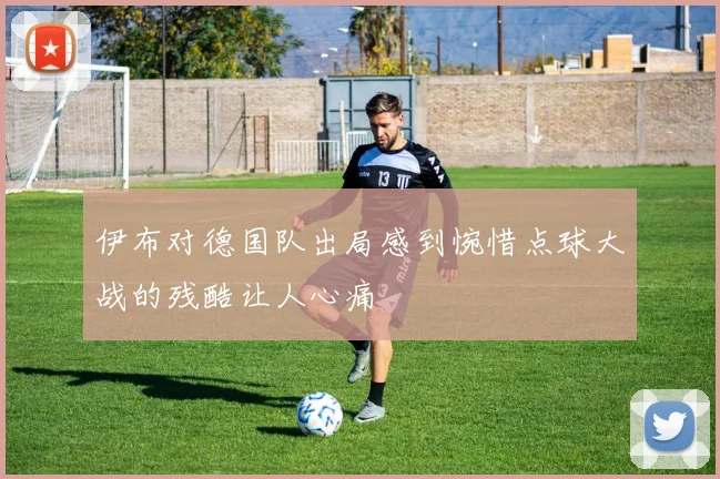伊布对德国队出局感到惋惜点球大战的残酷让人心痛
